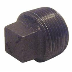 Ward Manufacturing 150# Black Malleable Iron Square Head Threaded Cored Plug, 3/4 inch