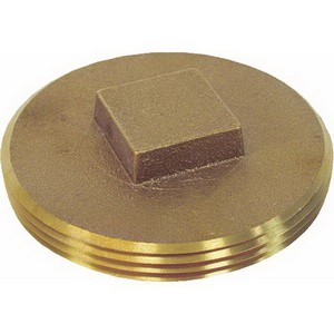 Brass Southern Code Raised Head Clean Out Plug, 1-1/2 inch