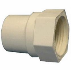 Sunbelt CPVC Adapter, 3/4 inch CTS x 3/4 inch CTS, Slip x FIP