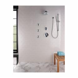 DELTA® 57085 Compel® Premium Hand Shower, 1 Shower Head, 2 gpm, 60 to 82 in L Hose, 1/2-14 Male NPSM Connection, Chrome Plated, Slide Bar: Yes, Import