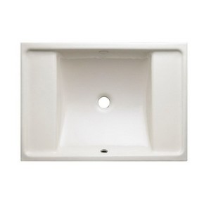 Kohler Ledges® K-2838 1-Basin Cast Iron Undermount Lavatory Sink, 22-1/2 inch x 16-1/8 inch, Biscuit