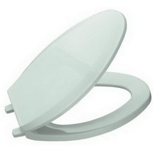 Kohler K-4652 Lustra™ Q2™ Advantage™ Solid Polypropylene Closed-Front Elongated Toilet Seat, 17-3/16 inch L x 14-3/16 inch W x 1 inch D, Seafoam Green