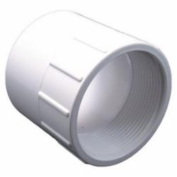 SCH 40 PVC Adapter, 6 inch x 6 inch, Socket x FIP