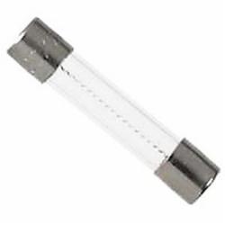 Rheem 44-AGC2 Glass Body Fast-Acting Fuse, 2A, 250VAC; 5/Pack