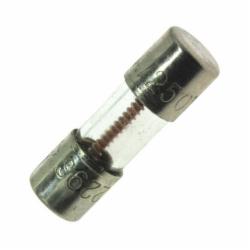 Rheem 46-22863-82 Glass Body Fast-Acting Fuse, 2A, 350VAC; 5/Pack