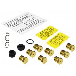 Protech® FP-33 Liquid Propane Gas Conversion Kit