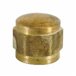 Brass Craft FC Series Rough Flare Cap, 3/8 inch, 9/16-24 Fine Thread