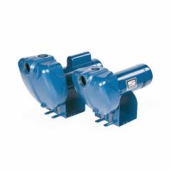 Sta-Rite DS3HF 1-1/2 HP 1-1/2 inch Medium Head Centrifugal Pump, 115/230V, 62 psi