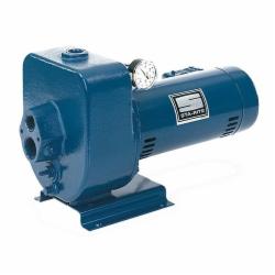 Sta-Rite HMSE Cast-Iron Centrifugal Well Jet Pump, 1 HP, 3500 rpm