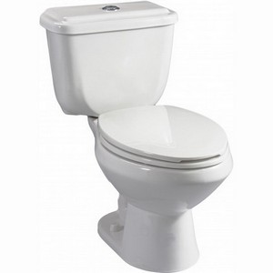 Briggs® 4375 Conserver ™ Dual-Flush 12 inch Rough-In Vitreous China Elongated Front Toilet Bowl, White