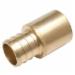 Brass PEX Adapter, 3/4 inch x 3/4 inch, PEX Barb x FNPT Sweat