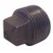 Ward Manufacturing 150# Black Malleable Iron Square Head Threaded Cored Plug, 3/4 inch