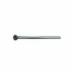 Watts 877 00PB Polished Brass Flexible Tank Supply Tube, 3/8 inch OD, 20 inch L