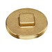 Raised Square Head Brass Southern Code Clean Out Plug, 2 inch IPS