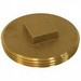 Raised Head Southern Code Cleanout Brass Plugs, 3 inch