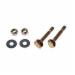 Black Swan 12005 Birdy Bolts Brass Closet Bolt, 5/16 inch x 2-1/4 inch