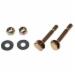 Black Swan 12005 Birdy Bolts Brass Closet Bolt, 5/16 inch x 2-1/4 inch