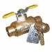 Apollo Valves 78306RV Cast Bronze Combination Water Heater Shutoff And Thermal Expansion Relief Valve, 3/4