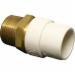Charlotte CPVC/Brass Adapter, 1 inch CTS x 1 inch CTS, MPT x Hub