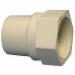 Lewis Pipe CPVC Adapter, 3/4 inch CTS x 3/4 inch CTS, Slip x FIP