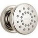 DELTA&reg; 50102-PN Body Spray, (1) Full Spray, 2 gpm Maximum, Surface Mount, Import
