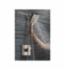 DELTA&reg; 58470-SS In2ition&reg; Contemporary Two-In-One Shower, 2.5 gpm, 4 Sprays