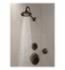 DELTA&reg; RP34355RB Victorian&reg; Universal Premium Shower Head, 2.5 gpm, 3 Sprays, Wall Mount, 5-1/2 x 4-1/4 in Head, Import