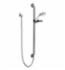 DELTA&reg; RPW336HDF HDF&reg; Hand Shower, 2 Shower Head, 2.5 gpm, 60 to 82 in L Hose, 1/2 in Connection, Stainless Steel, Slide Bar: Yes, Import