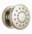DELTA&reg; 50102-PN Body Spray, (1) Full Spray, 2 gpm Maximum, Surface Mount, Import