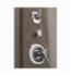 DELTA&reg; 50102-PN Body Spray, (1) Full Spray, 2 gpm Maximum, Surface Mount, Import