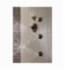 DELTA&reg; T50001-RB Body Spray Trim, (1) H2Okinetic&reg; Spray, 1.6 gpm Maximum, Domestic