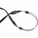 Cablz CBLZ12 Eyewear Retainer, 12 inch, Black