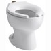 Kohler K-4350 Wellcomme™ 10 inch or 12 inch Rough-In Vitreous China Elongated Front Toilet Bowl with Top Spud, 1.6 gpf, White