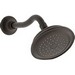 Kohler Artifacts&trade; K-72773 1-Spray Settings Single Function Shower Head, 2.5 gpm, Oil-Rubbed Bronze
