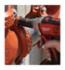 Milwaukee&reg; 48-32-4422 SHOCKWAVE&trade; Impact Insert Bit, #2 Square Recess Point, 1 in OAL, 1/4 in, Alloy Steel