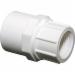 SCH 40 PVC Reducing Adapter, 3/4 inch x 1/2 inch, Socket x FIP
