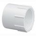 SCH 40 PVC Adapter, 2 inch x 2 inch, Socket x FIP