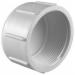 Charlotte SCH 40 ASTM D-2466 PVC FIP Cap, 1-1/2 inch