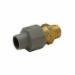 Quik-Tite QACA44M CPVC Brass Adapter, 3/4 inch x 3/4 inch, MNPT x MNPT