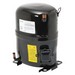 Bristol H22J29BABCA 1-Phase R-22 Compressor, 2.5 tons