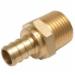 Nabco&reg; Brass Lead-Free Adapter, 3/4 inch x 3/4 inch, PEX Barb x MPT