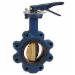 Nibco&reg; N200235 200# Lever Operated Cast Iron Butterfly Valve, 4 inch, Lug