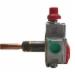 Protech&reg; SP13160E liquid Propane Gas Control Valve