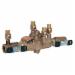 Watts&reg; LF009 Reduced Pressure Zone Assembly, 1 inch, 175 psi