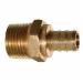 Brass PEX Adapter, 1/2 inch x 1/2 inch, PEX Barb x MIP