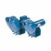 Sta-Rite DS3HF 1-1/2 HP 1-1/2 inch Medium Head Centrifugal Pump, 115/230V, 62 psi