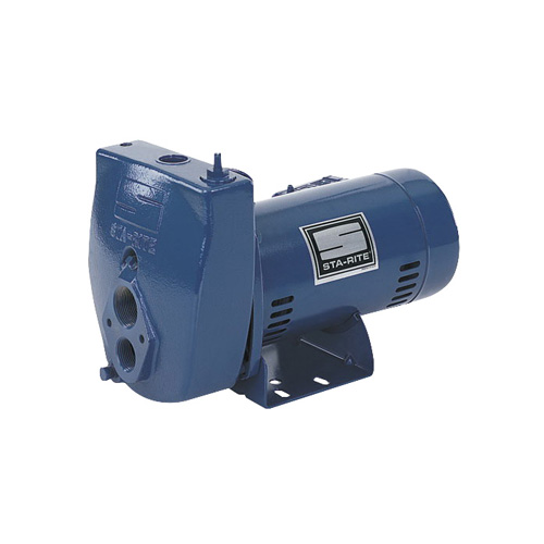 Sta-Rite&reg; Pentair&reg; Self-Priming Convertible Jet Pump, 3/4 HP, 230V