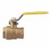 Watts® FBV-3C Full Port Forged Brass Ball Valve, 1-1/4 inch, FIP x FIP