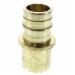 ProPEX LF4501010 Brass Lead Free Adapter, 1 inch x 1 inch, PEX x Copper