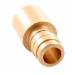 ProPEX Q4511010 Brass Adapter, 1 inch x 1 inch, PEX x Copper